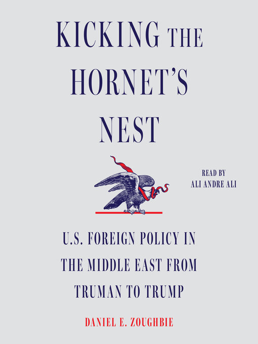 Title details for Kicking the Hornet's Nest by Daniel E Zoughbie - Wait list
